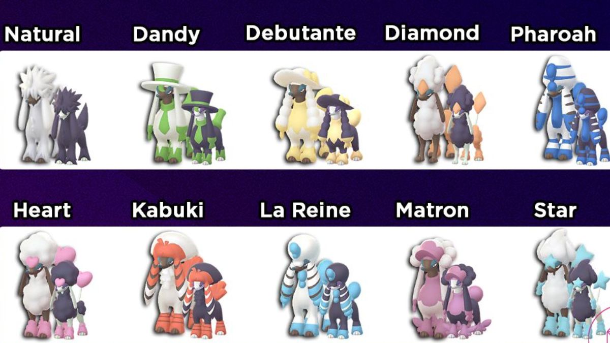 All furfrou forms in Pokemon go How to evolve furfrou in Pokemon go