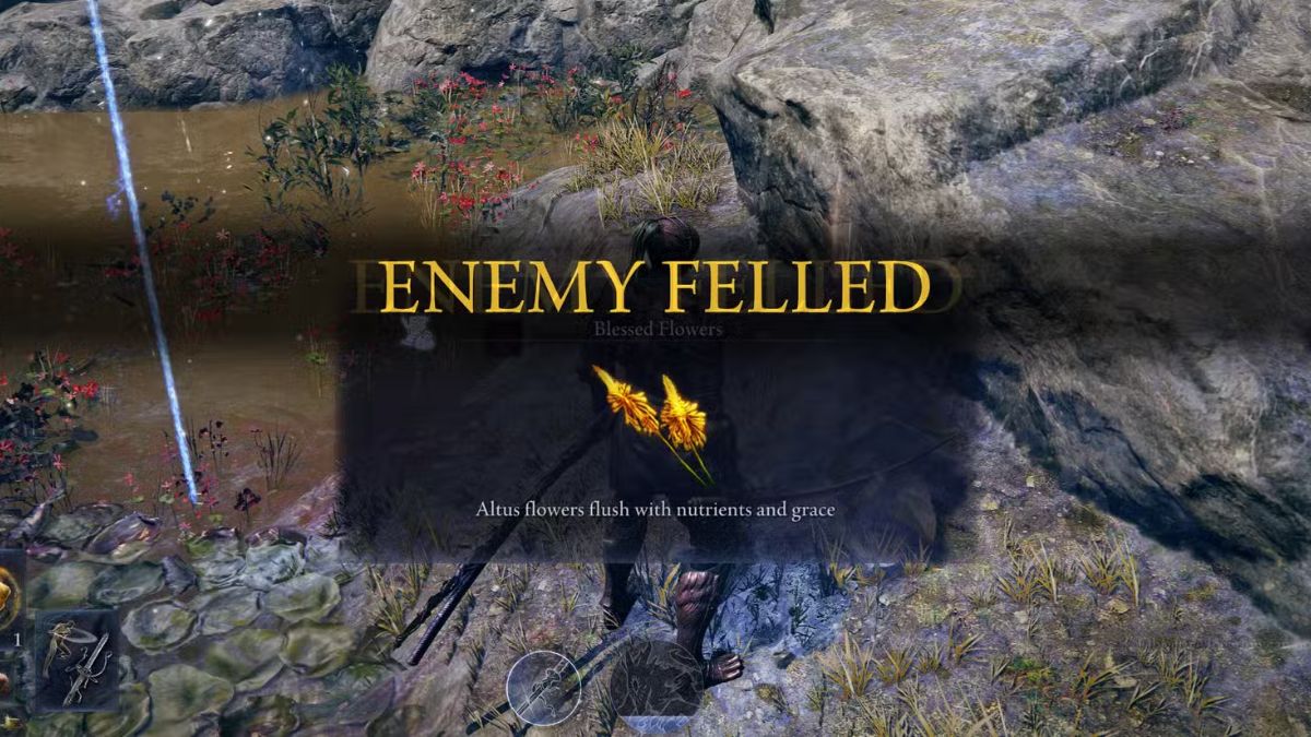 Elden Ring Nightreign Relics
