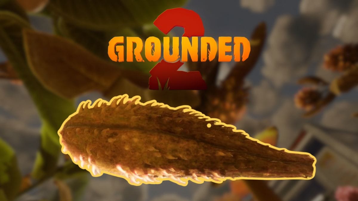 Milkweed in Grounded 2 Milkweed grounded 2