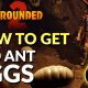 red ant egg in grounded 2 red ant egg grounded 2