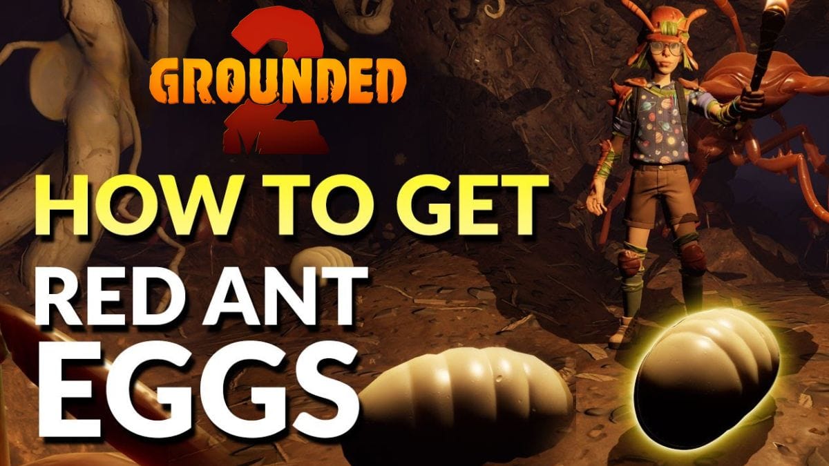 red ant egg in grounded 2 red ant egg grounded 2