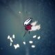 how to get double jump in silksong double jump in silksong where to get double jump silksong