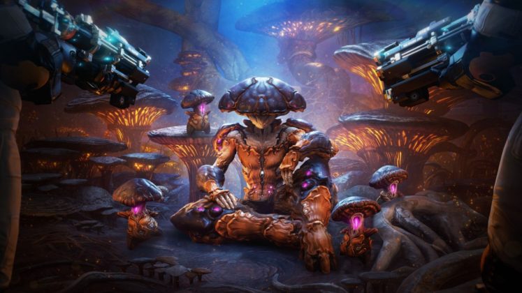 nokko of warframe nokko warframe build