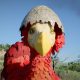 Crimson Desert Kuku Bird crimson desert new mounts