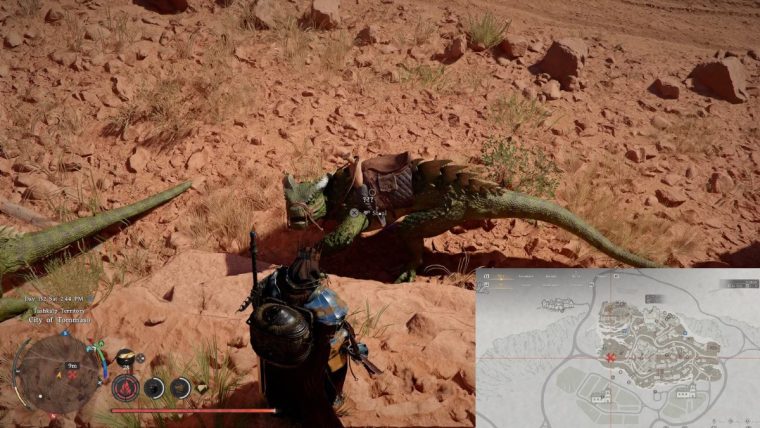 Crimson Desert Iguana crimson desert red iguana crimson desert green iguana