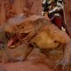 How to Get Red/Green Iguana Mount in Crimson Desert: Explained
